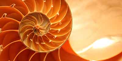 Wonders of Math